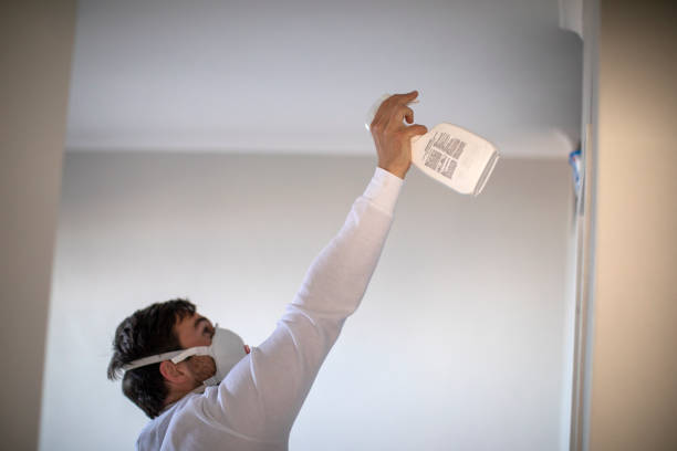 Best Crawl Space Mold Removal  in Lorado City, CO